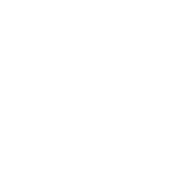 Bolt Doctor